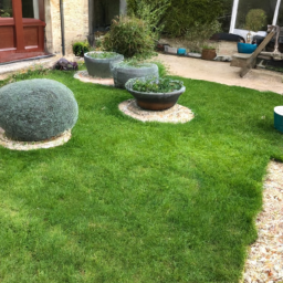 Techniques de taille pour maintenir un jardin esthétique et en bonne santé Palaiseau